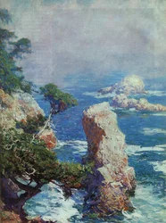 Tåke over Point Lobos